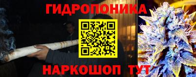 индика Наро-Фоминск